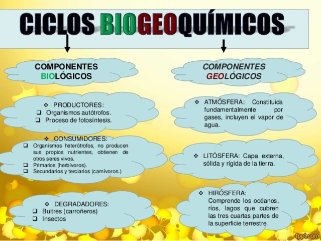 COMPONENTES DE LOS CICLOS BIOGEOQUÍMICOS