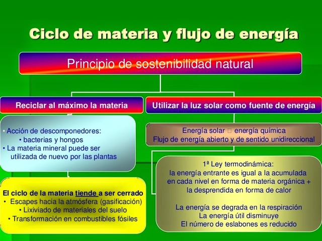 CICLO DE LA MATERIA Y FLUJO DE ENERGÍA
