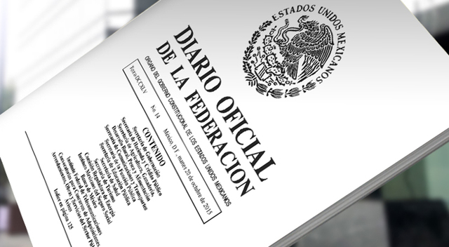 Protección de datos personales a la información pública gubernamental