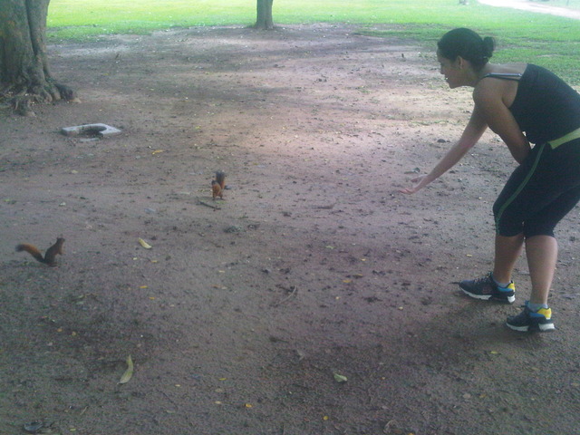 Persiguiendo Ardillas