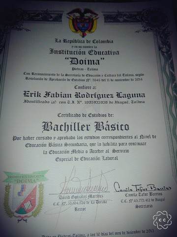 Diploma Grado 9