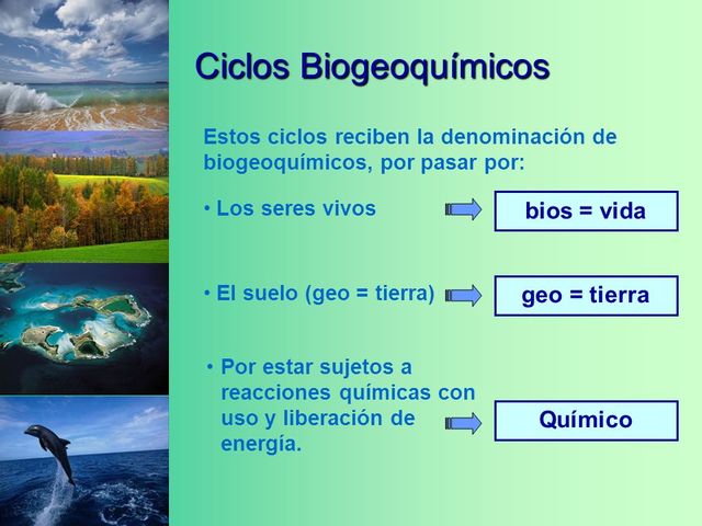 ¿POR QUÉ RECIBEN EL NOMBRE DE CICLOS BIOGEOQUÍMICOS?