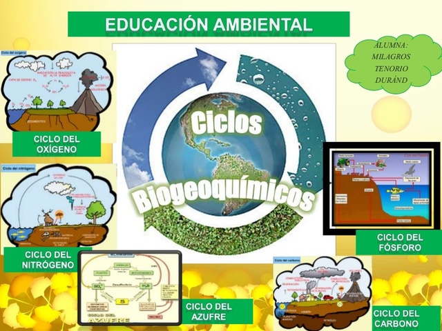 LOS CICLOS Y LA EDUCACIÓN  AMBIENTAL.