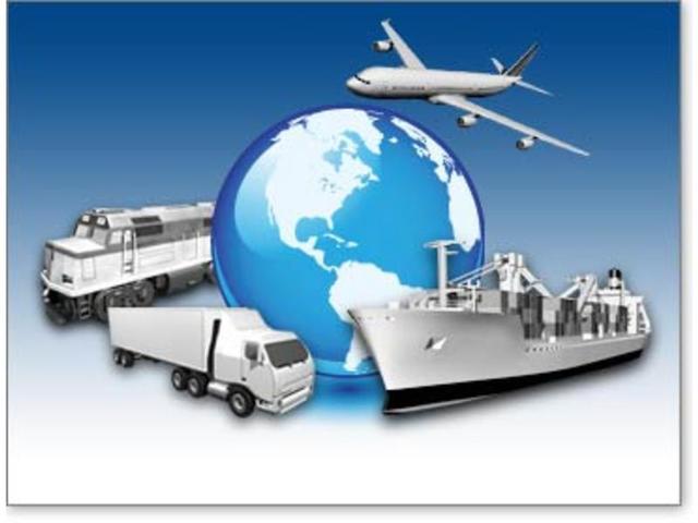 Origen del termino, fase evolutiva.