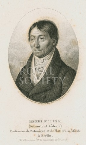Johann Heinrich Link