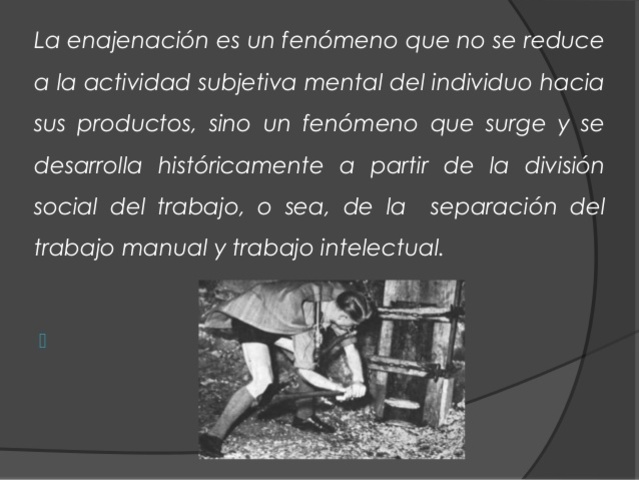 Division del trabajo