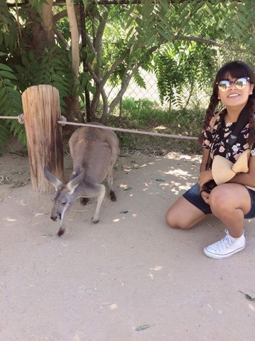 I TOUCHED A KANGAROO