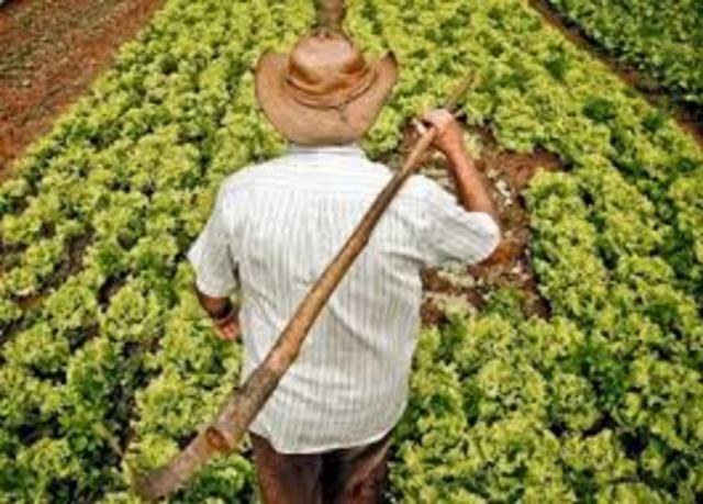 Nueva modificación artículo 123