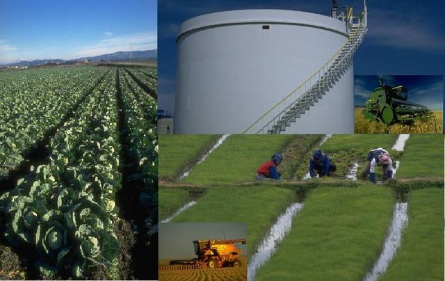 Innovations helped farmers