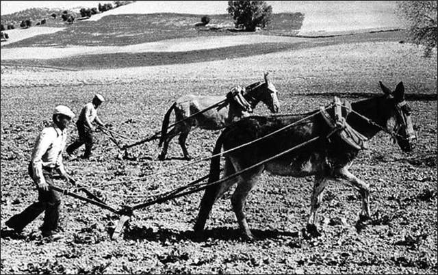 Alfonso López Pumarejo-Presidente