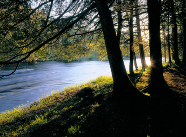 Forest, Hillsides etc. were apart of their environment