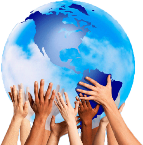 Diversity was a technolgy innovation and a technology sluggishness