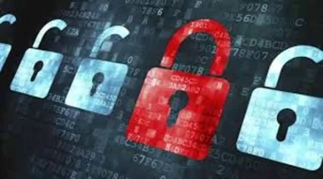 pirateria informatica