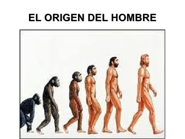 Origen de el hombre