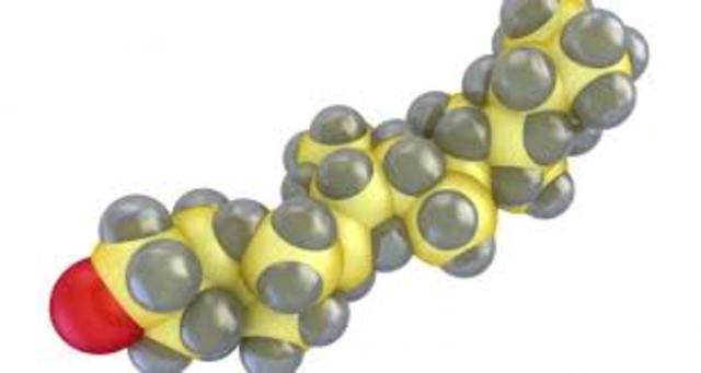 CLASIFICACIÓN DE BIOMOLÉCULAS
