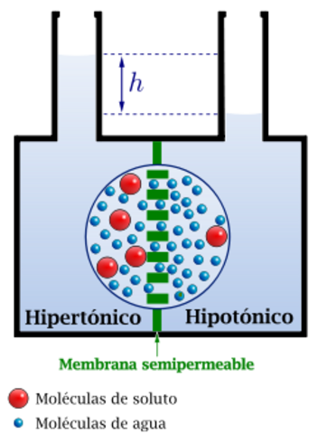 "PRESIÓN OSMÓTICA"
