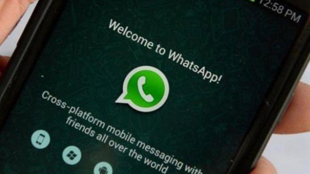 LLEGO EL CELULAR CON WHATSAPP