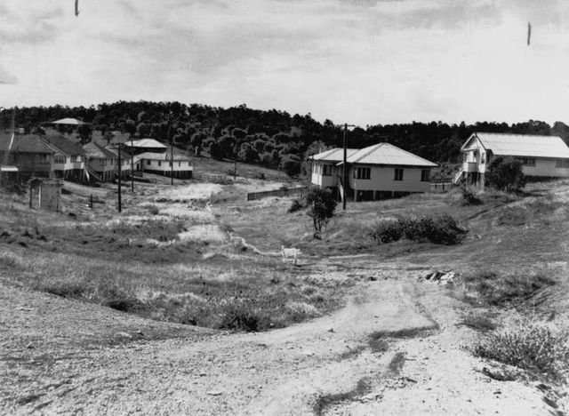 28 new Schools established by James Jewick
