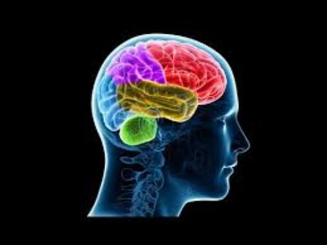 etapa inicial o de fundamentación  1880 a 1940