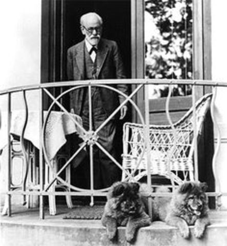 FREUD OBSERVA A LOS SOLDADOS