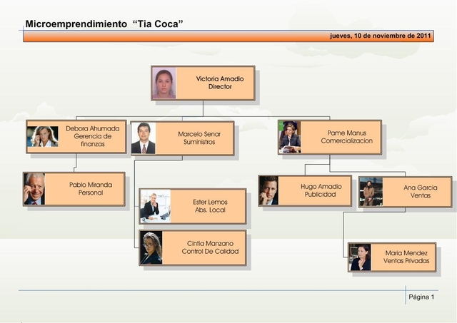 Estructura Organizacional y Cargos en la Empresa