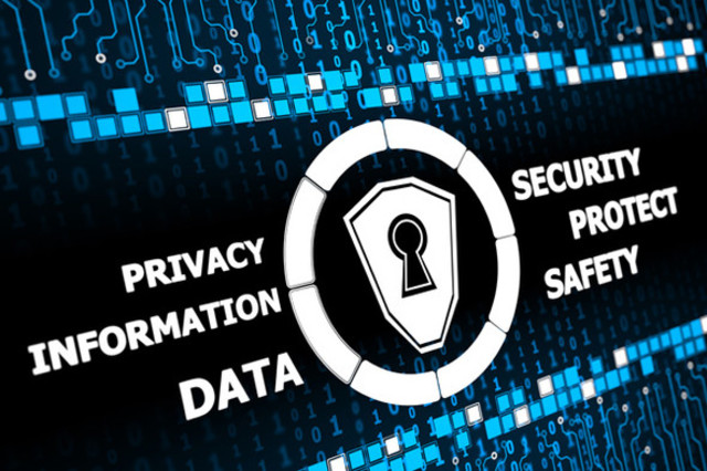 Se reconoce la garantía fundamental de la protección de datos personales.