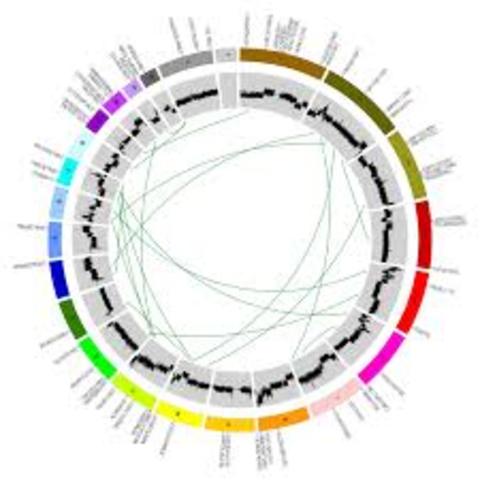 Break through in cancer therapies through The Cancer Genome Atlas