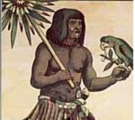 Llegada a Costa Panameñas del Caribe. Cristóbal Colón