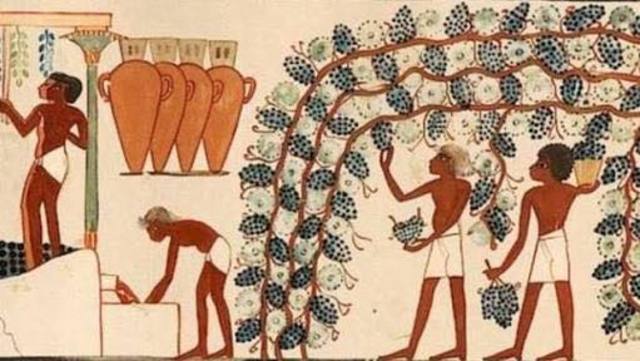 Origen del vino (se calcula en esta fecha).