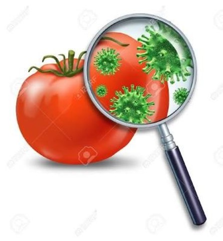 Se confirman 119 brotes causados por bacterias en alimentos.