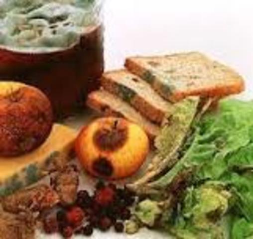 Se confirman 136 brotes causados por bacterias en alimentos.