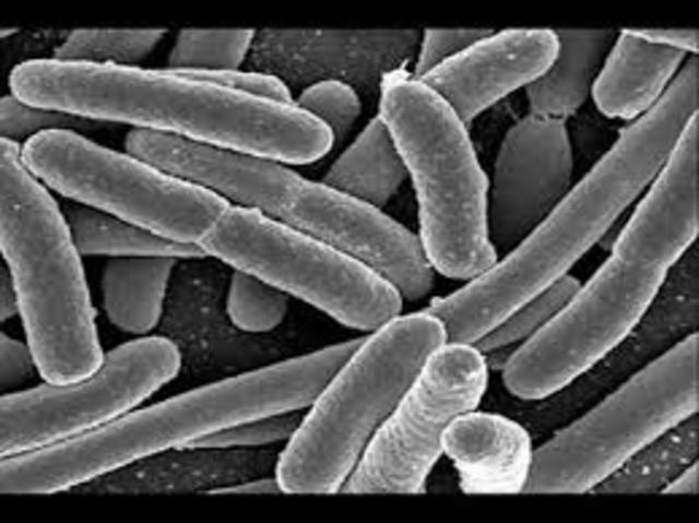 Germ Theory Established