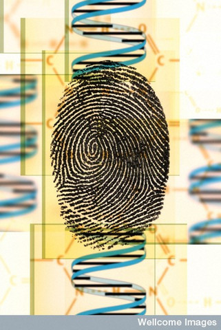 Genetic fingerprinting