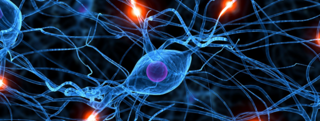 etapa de transición