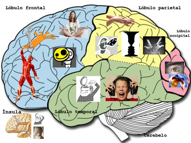 etapa contemporánea
