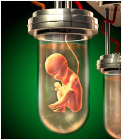 Test-Tube Baby