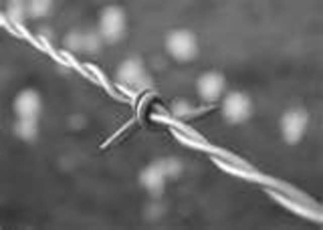 Barb wire