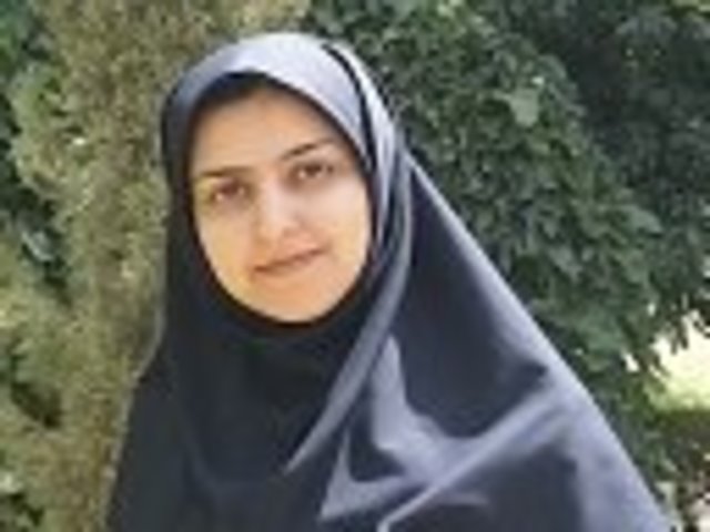 Gravitational Search Algorithm (GSA)