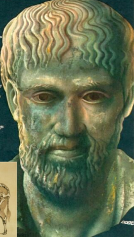 Anatomía moderna y fisiología