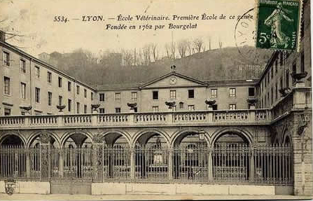 Primeras escuelas americanas