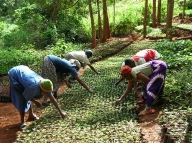 Nostalgia del mundo rural.