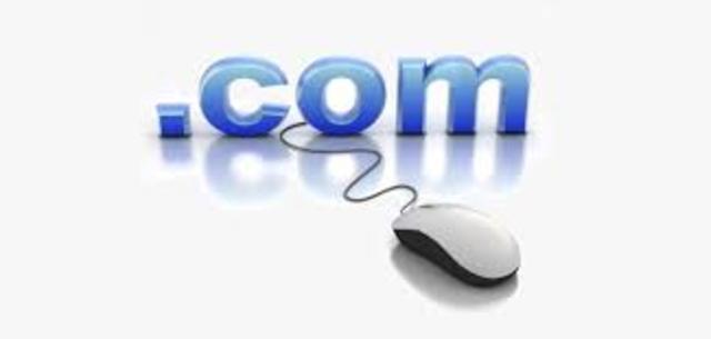The Dot-Com Domain