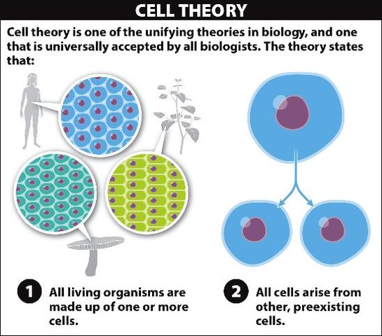 Cell Theory (1805)