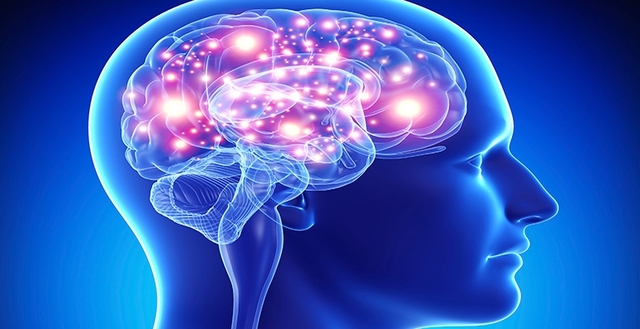 ETAPA INICIAL (1800-1940)