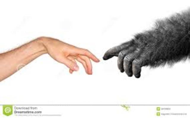 EVOLUCIÓN DEL CONCEPTO