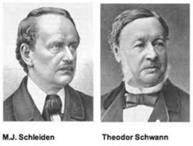 Mathias Jakob Schleiden