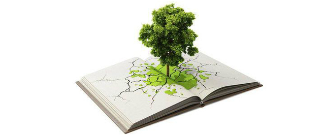 Publicación de libros y artículos sobre el medio ambiente