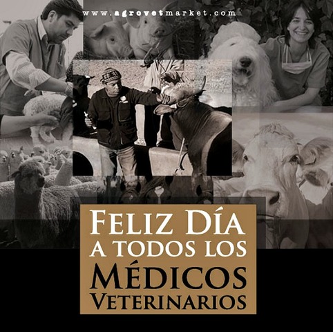 fundación de la primer escuela en México