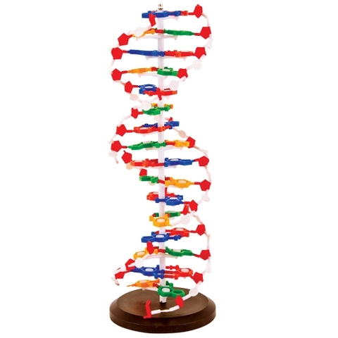Premio Nobel: Estructura Molecular del ADN