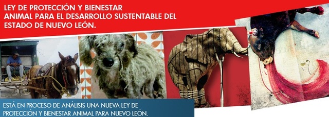 APRUEBAN LEY DE PROTECCIÓN ANIMAL